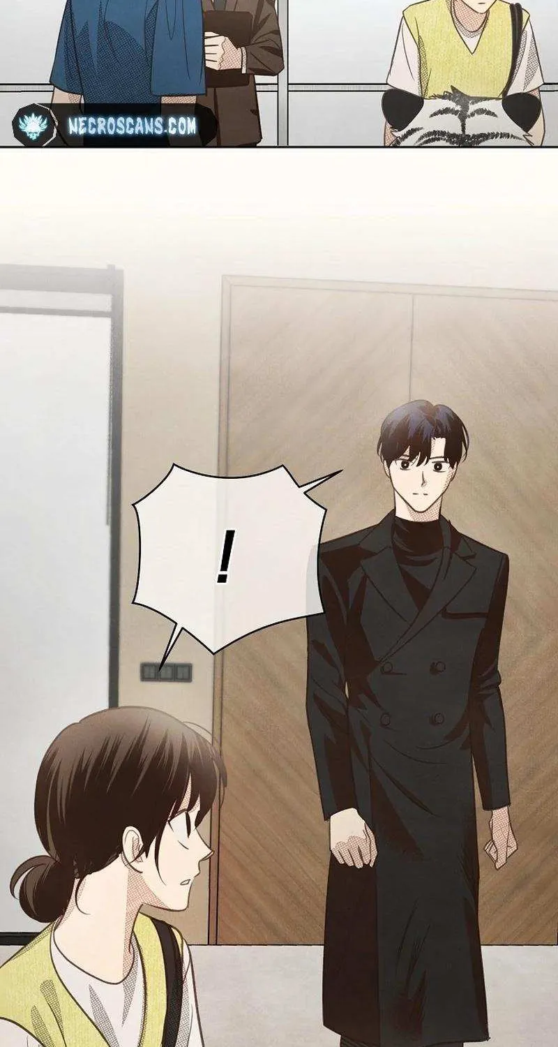 S-Class Spirit Master’s Taming Diary Chapter 11 page 45 - 