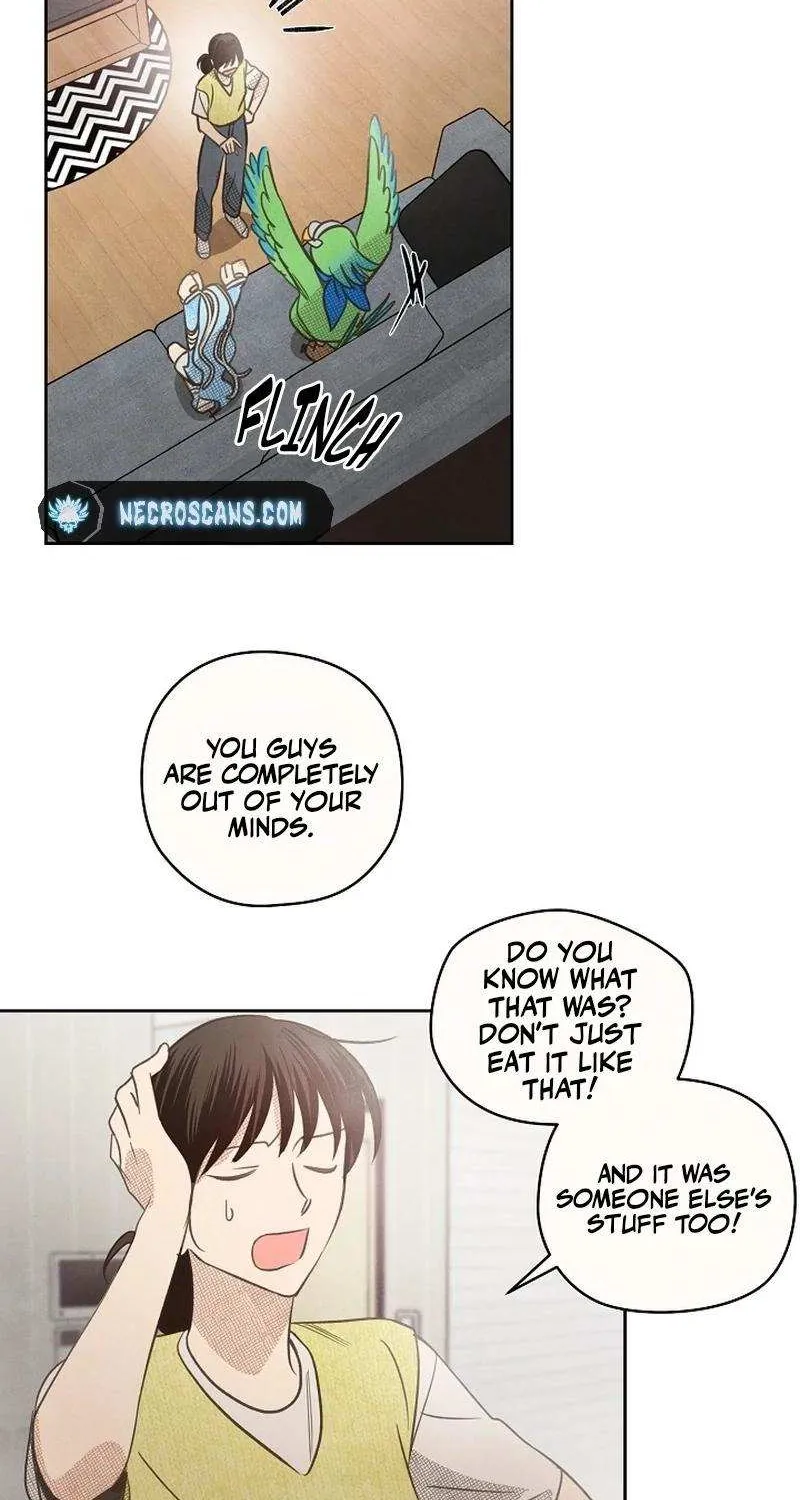 S-Class Spirit Master’s Taming Diary Chapter 12 page 33 - 
