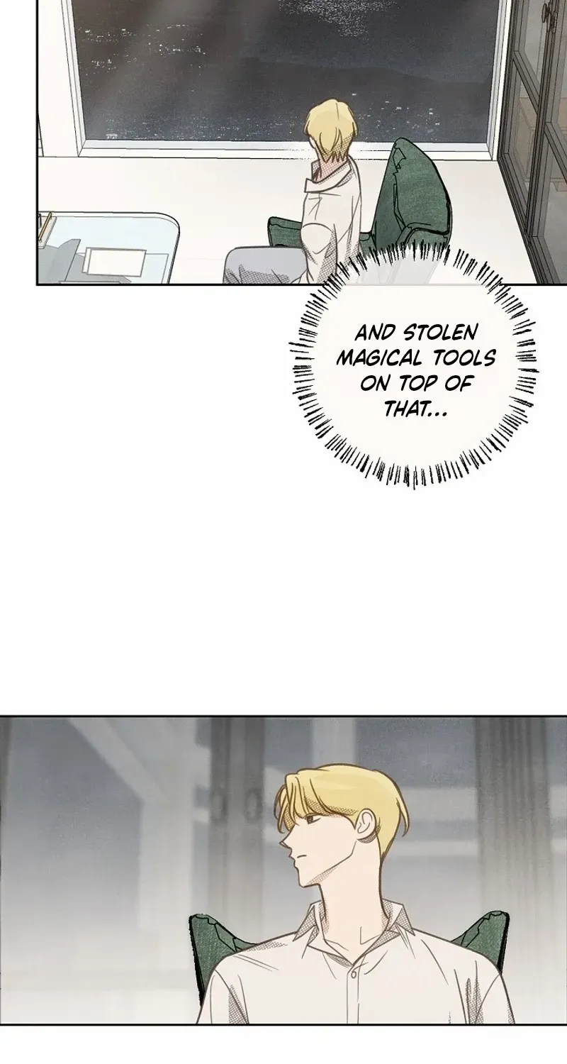 S-Class Spirit Master’s Taming Diary Chapter 18 page 12 - 
