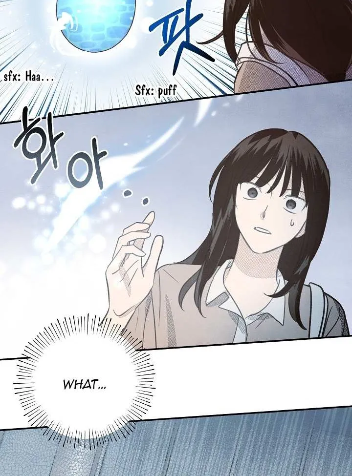 S-Class Spirit Master’s Taming Diary Chapter 2 page 13 - 