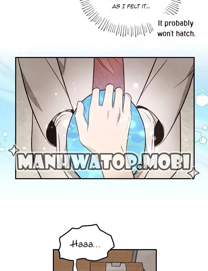 S-Class Spirit Master’s Taming Diary Chapter 2 page 23 - 