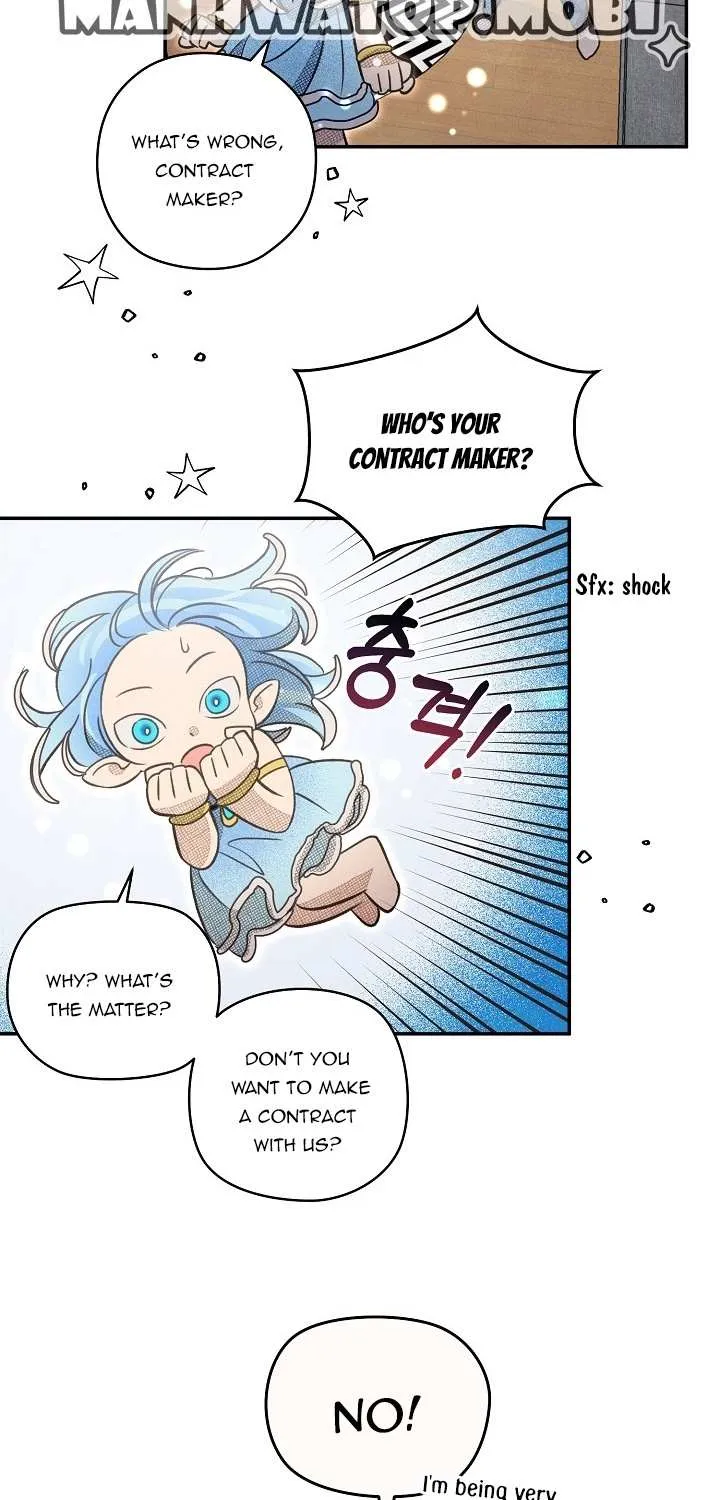 S-Class Spirit Master’s Taming Diary Chapter 2 page 40 - 