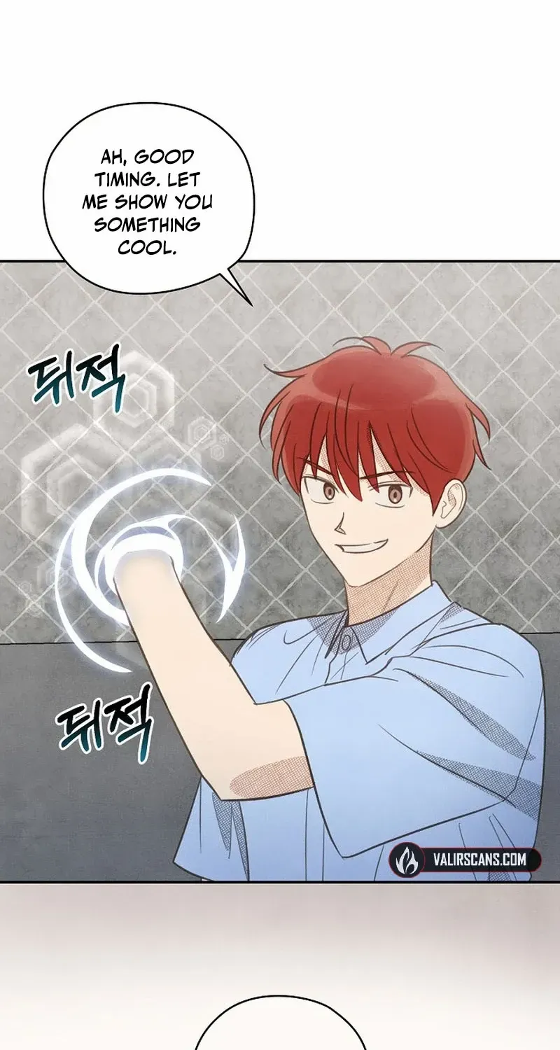 S-Class Spirit Master’s Taming Diary Chapter 21 page 19 - 