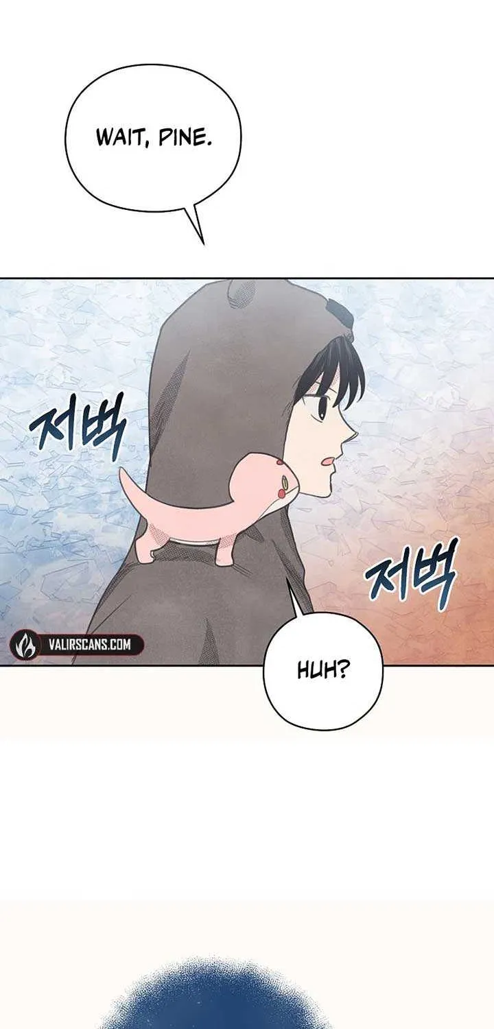 S-Class Spirit Master’s Taming Diary Chapter 23 page 42 - 