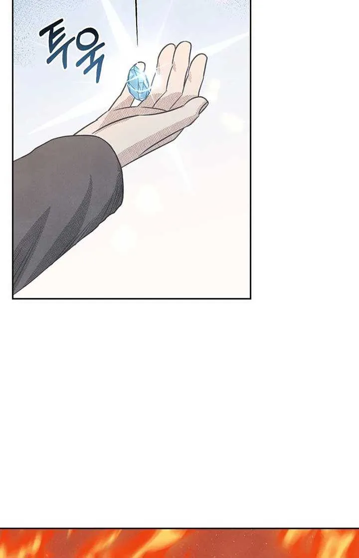 S-Class Spirit Master’s Taming Diary Chapter 23 page 45 - 