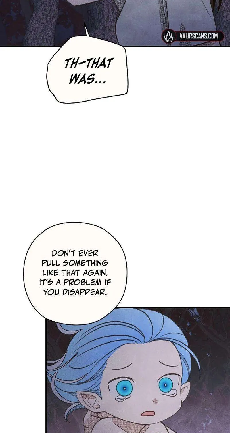 S-Class Spirit Master’s Taming Diary Chapter 25 page 45 - 