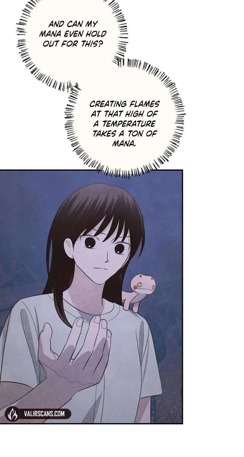 S-Class Spirit Master’s Taming Diary Chapter 25 page 69 - 
