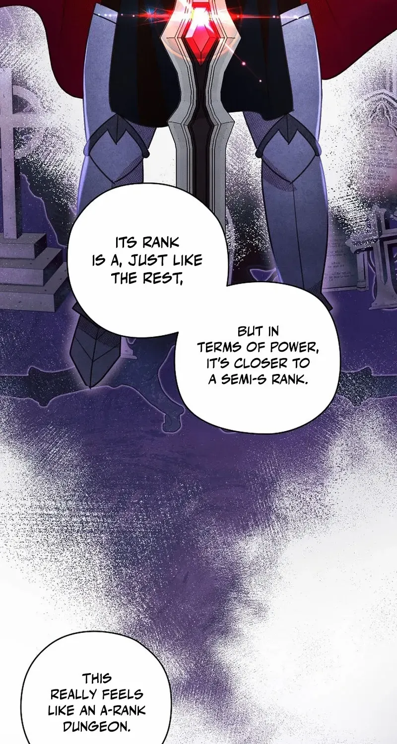 S-Class Spirit Master’s Taming Diary Chapter 26 page 39 - 