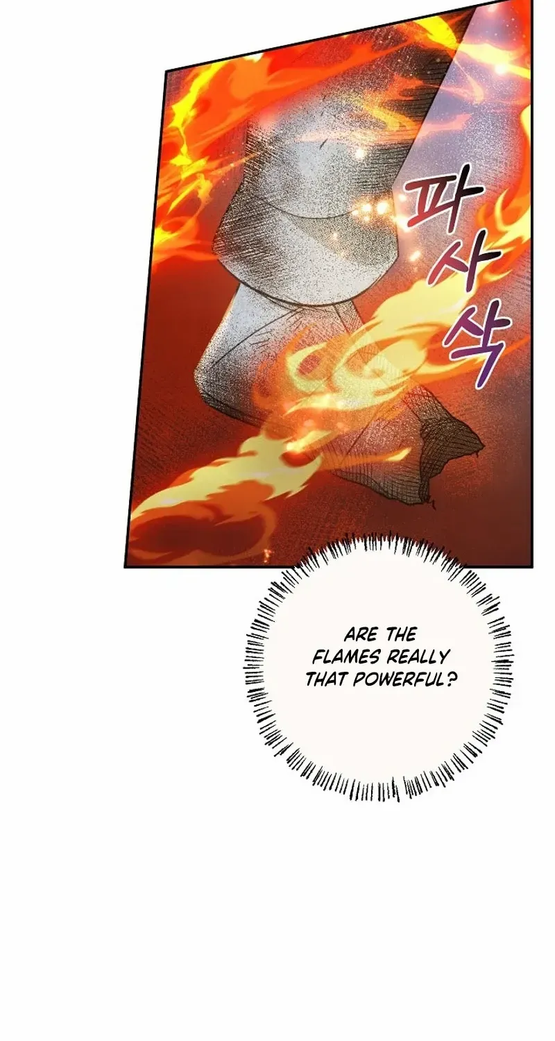 S-Class Spirit Master’s Taming Diary Chapter 27 page 24 - 