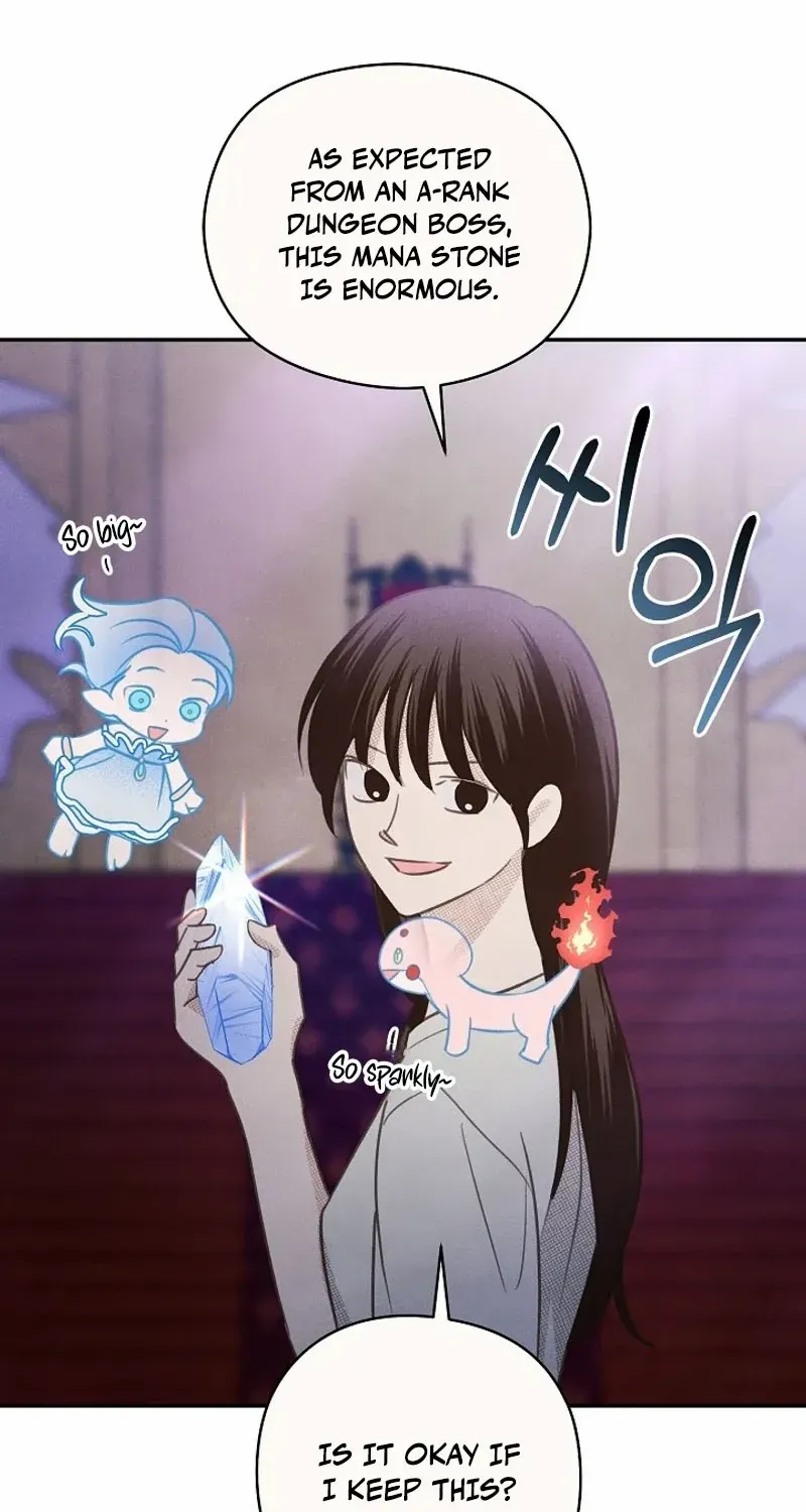S-Class Spirit Master’s Taming Diary Chapter 27 page 39 - 