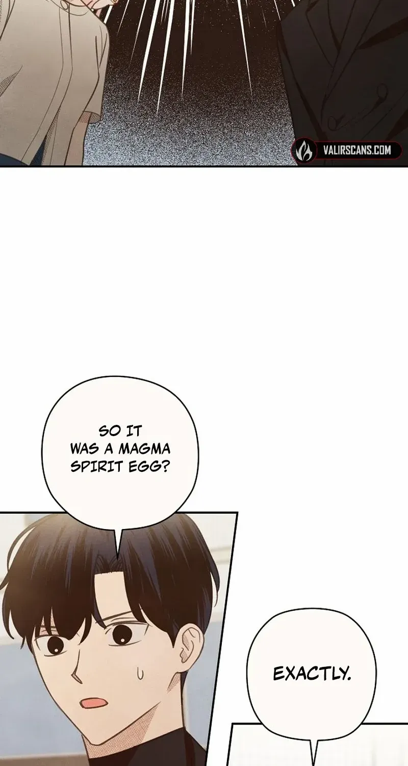 S-Class Spirit Master’s Taming Diary Chapter 27 page 73 - 