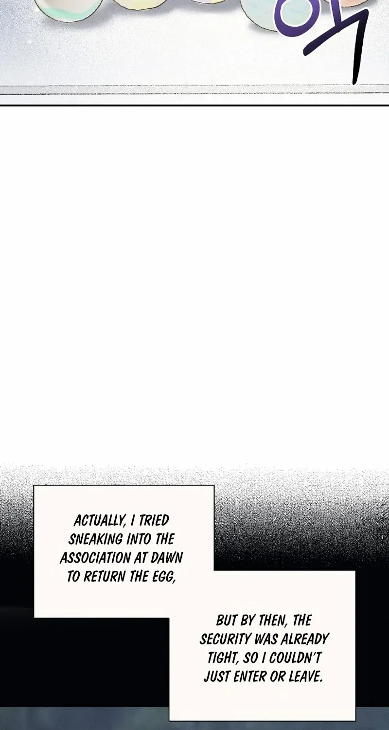 S-Class Spirit Master’s Taming Diary Chapter 29 page 46 - 