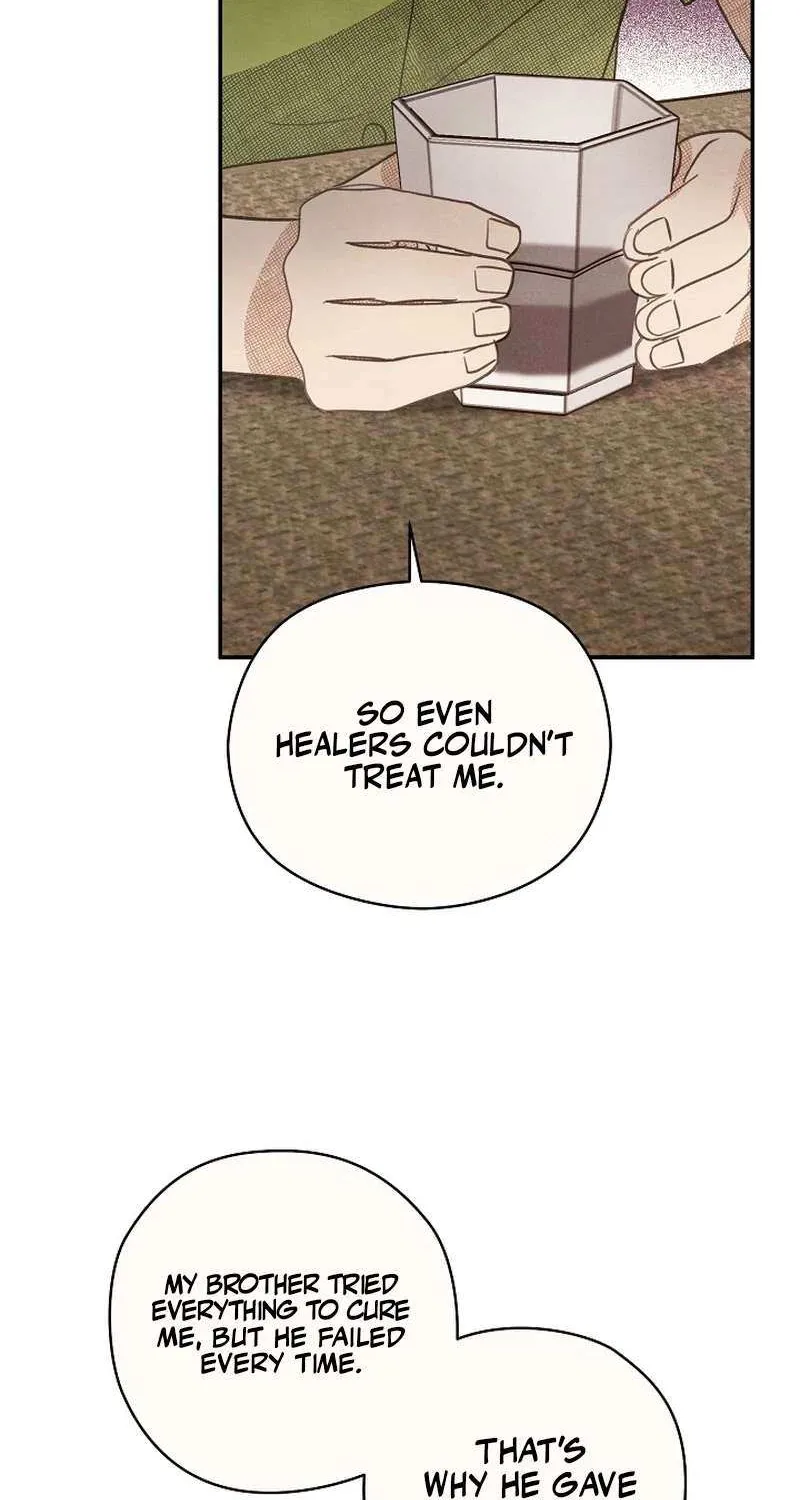S-Class Spirit Master’s Taming Diary Chapter 35 page 36 - 