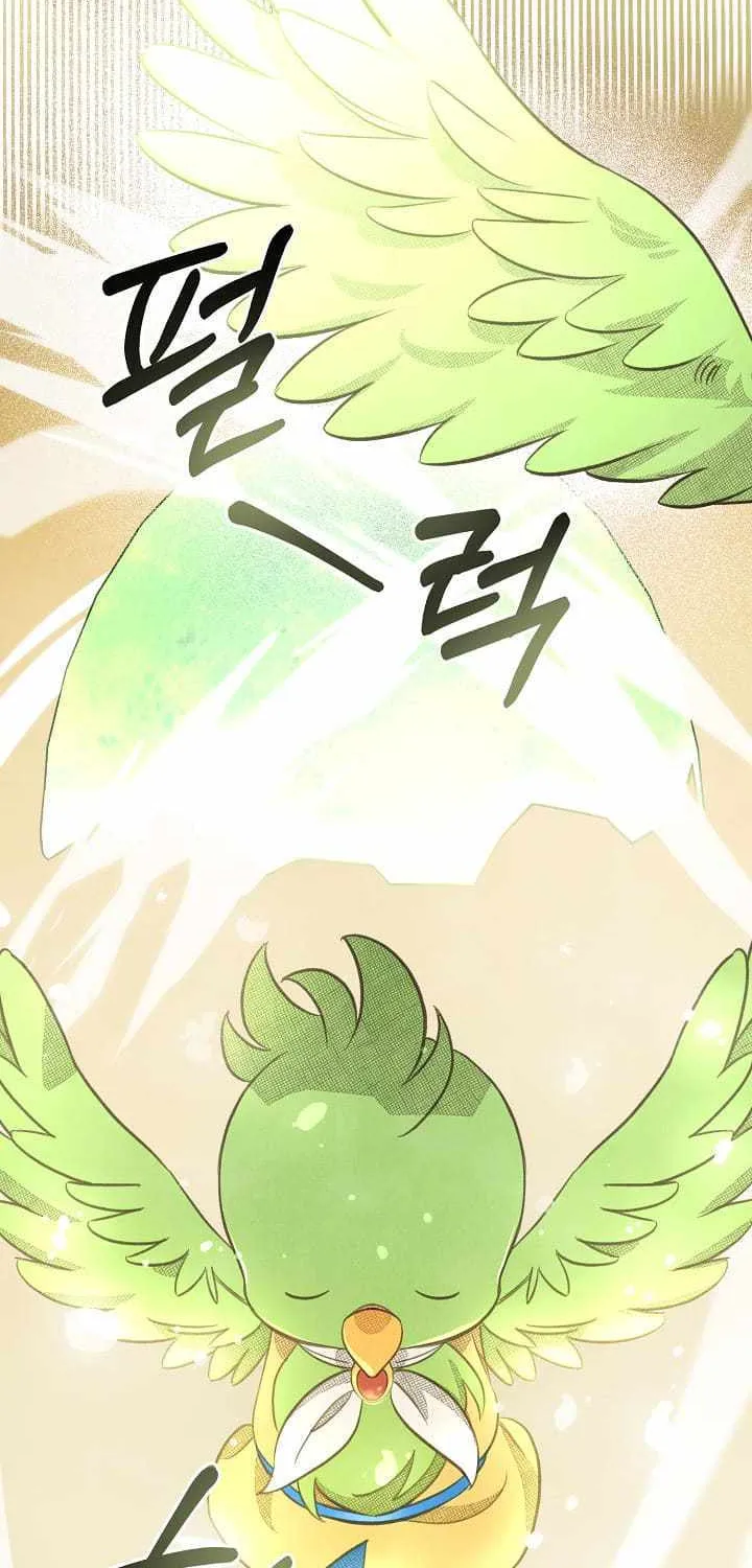 S-Class Spirit Master’s Taming Diary Chapter 4 page 11 - 