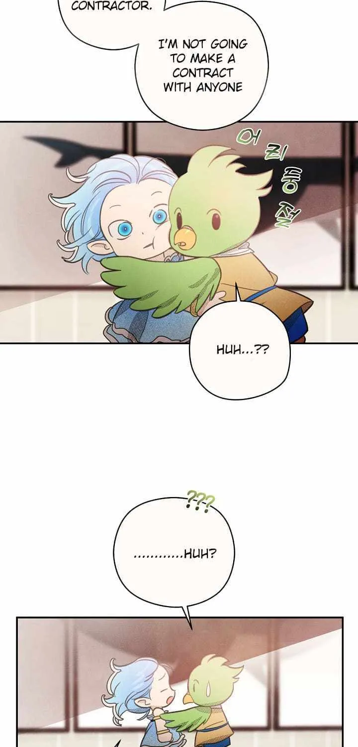 S-Class Spirit Master’s Taming Diary Chapter 4 page 17 - 