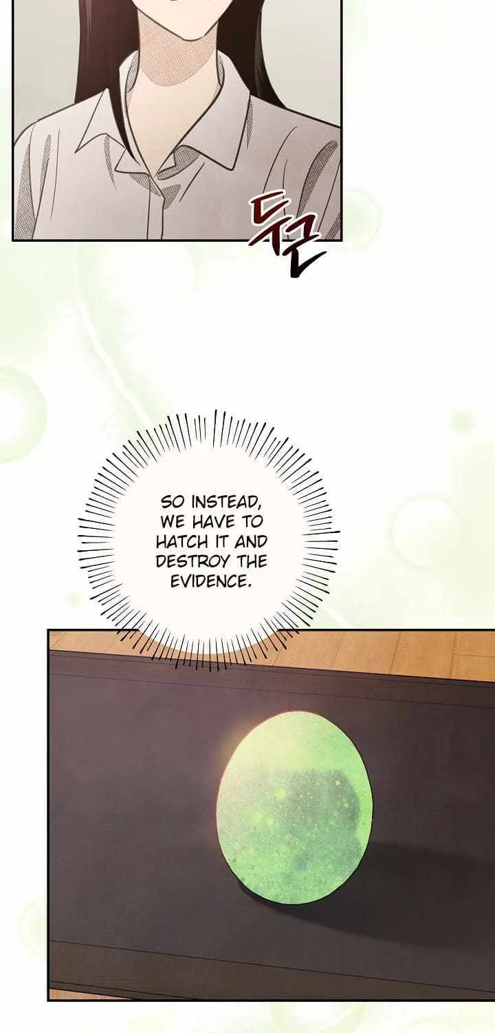 S-Class Spirit Master’s Taming Diary Chapter 4 page 3 - 