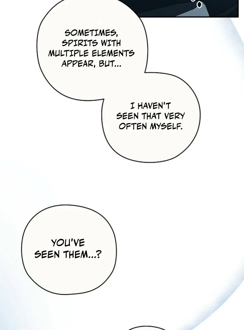 S-Class Spirit Master’s Taming Diary Chapter 46 page 71 - 