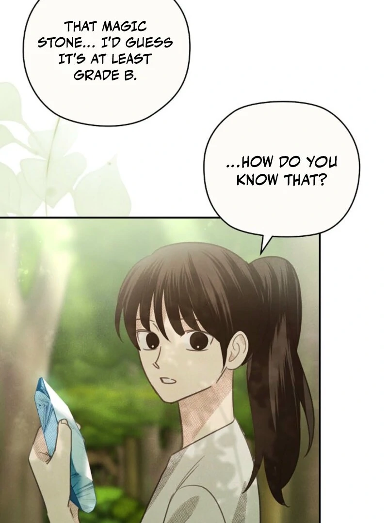 S-Class Spirit Master’s Taming Diary Chapter 48 page 19 - 