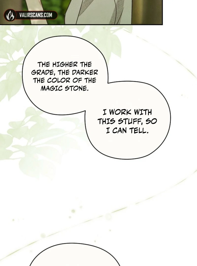 S-Class Spirit Master’s Taming Diary Chapter 48 page 20 - 