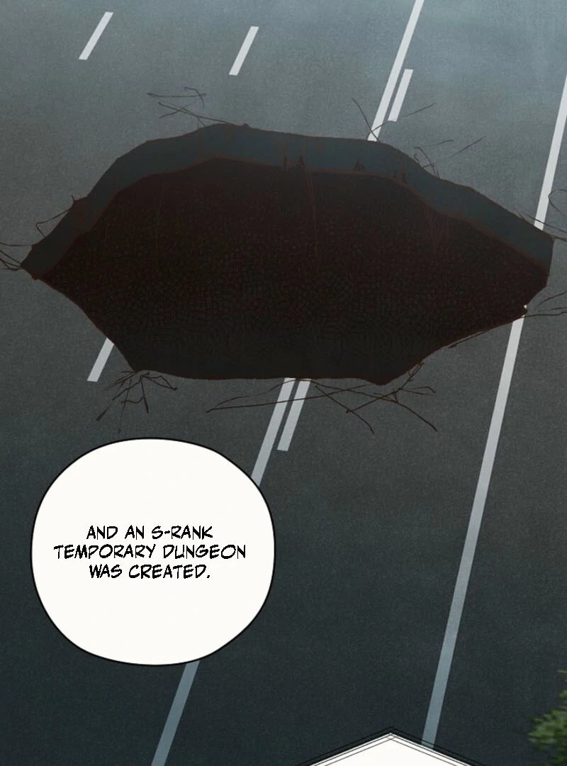S-Class Spirit Master’s Taming Diary Chapter 50 page 71 - 