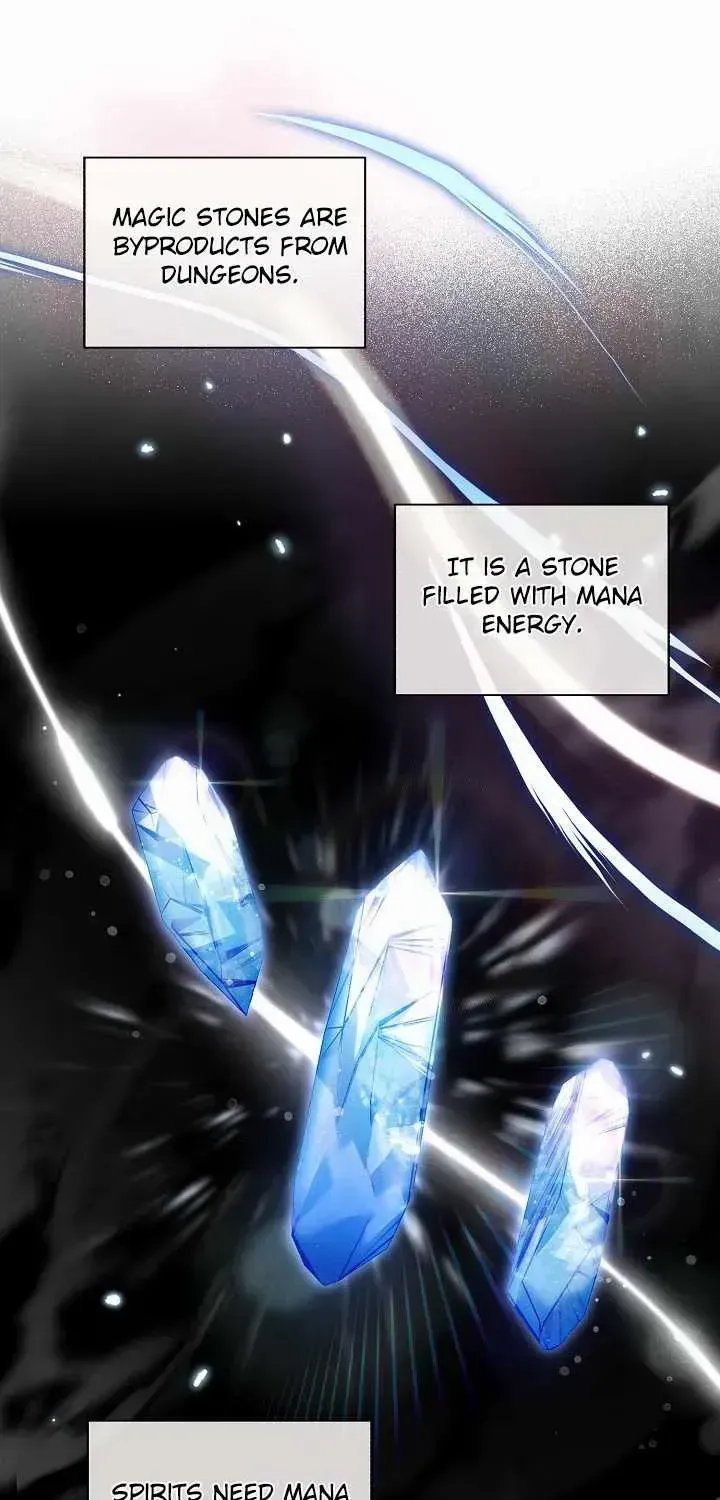 S-Class Spirit Master’s Taming Diary Chapter 6 page 7 - 