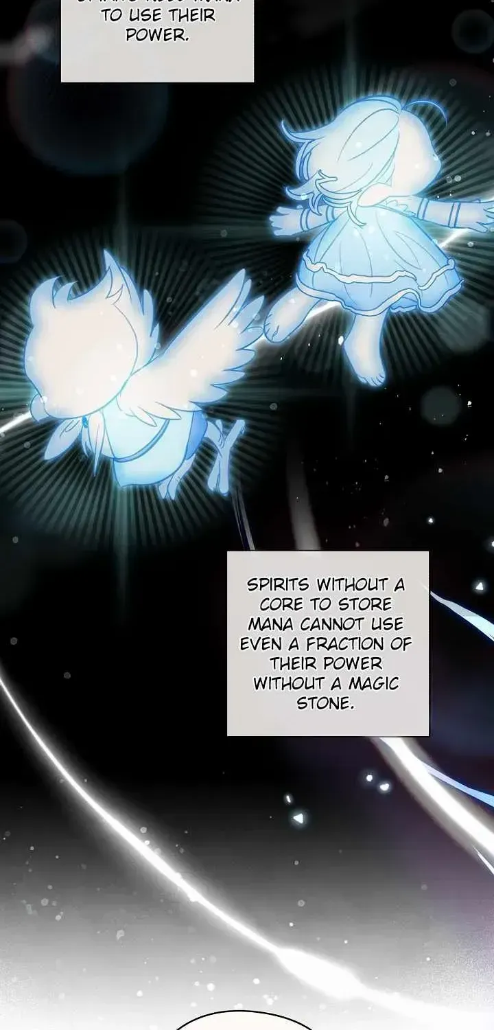 S-Class Spirit Master’s Taming Diary Chapter 6 page 8 - 