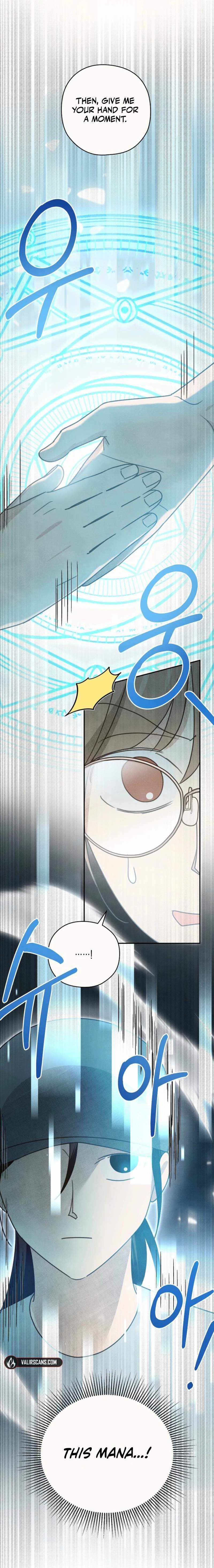 S-Class Spirit Master’s Taming Diary Chapter 62 page 9 - 