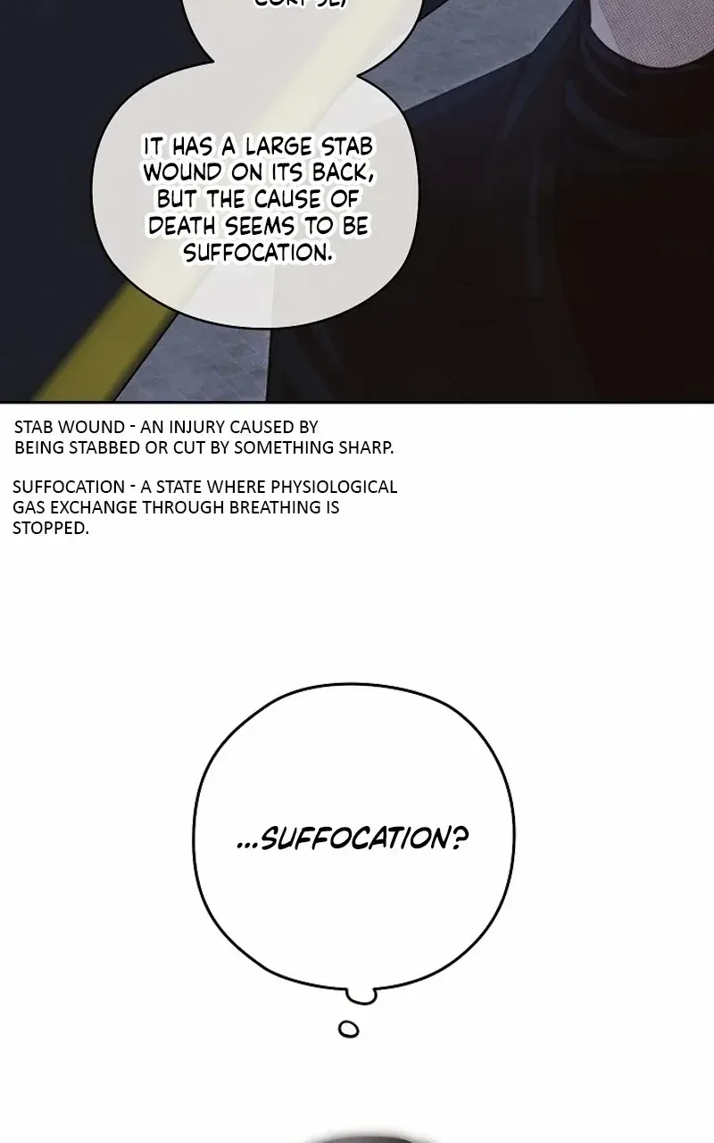 S-Class Spirit Master’s Taming Diary Chapter 7 page 60 - 