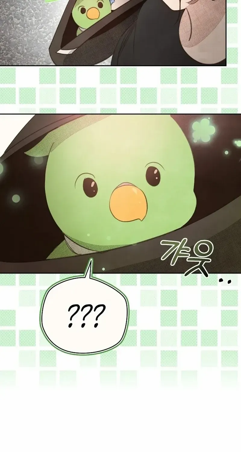 S-Class Spirit Master’s Taming Diary Chapter 8 page 35 - 