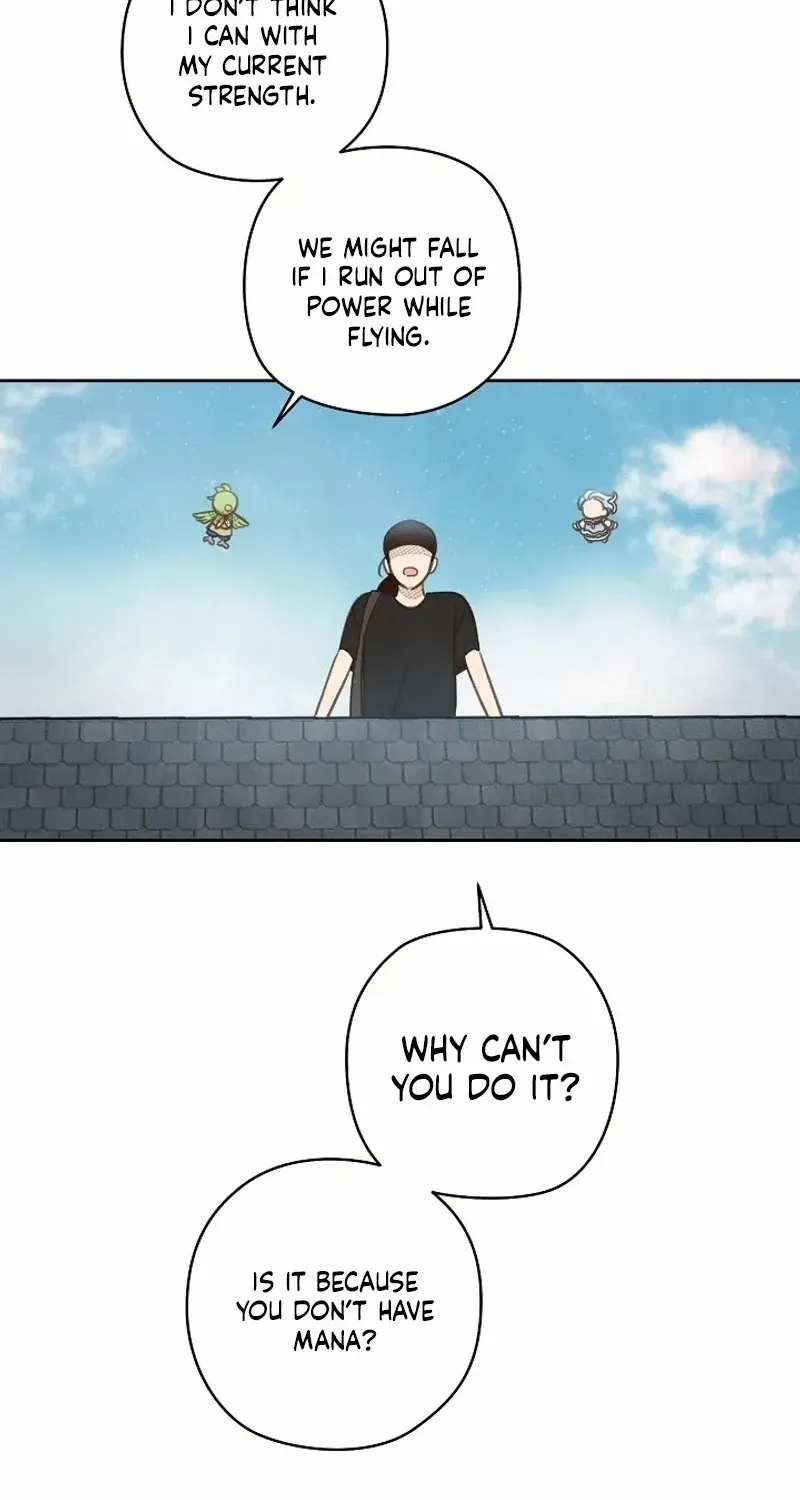 S-Class Spirit Master’s Taming Diary Chapter 8 page 39 - 
