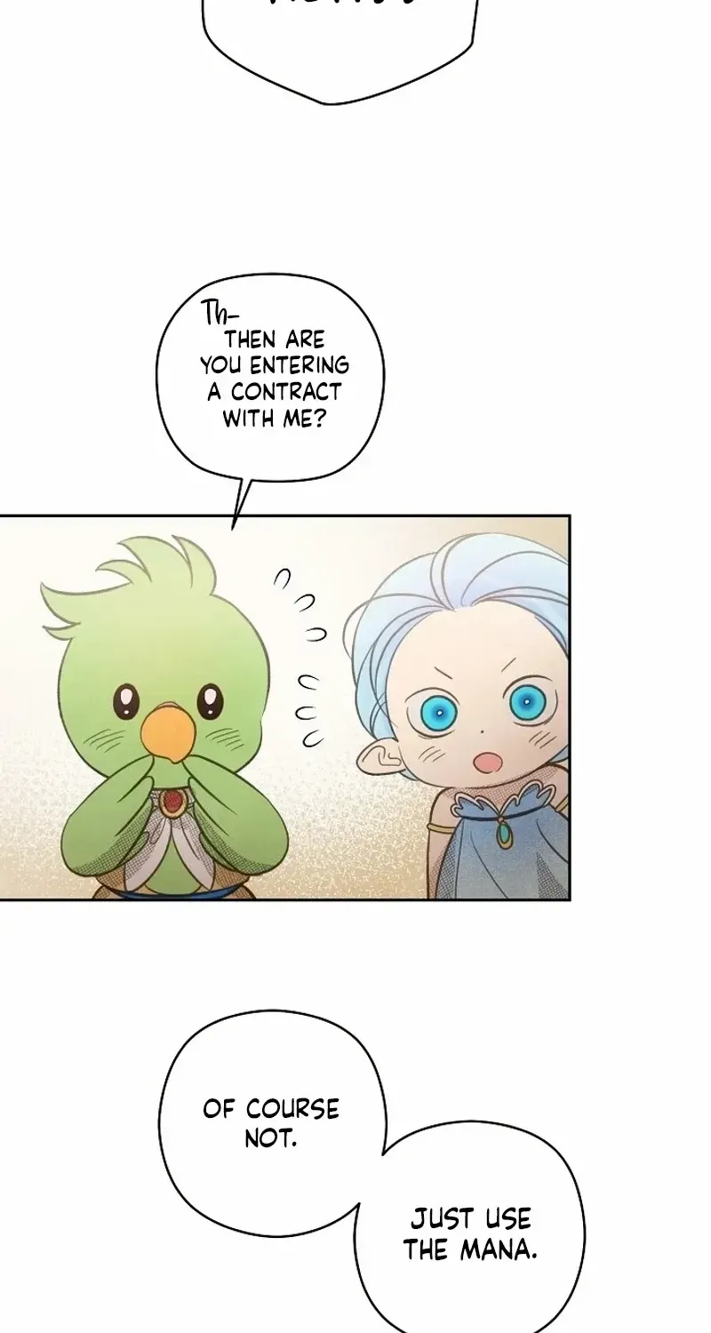 S-Class Spirit Master’s Taming Diary Chapter 8 page 41 - 