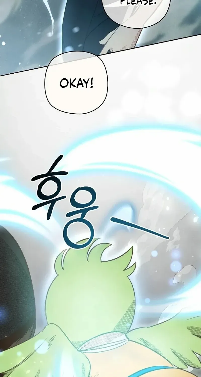 S-Class Spirit Master’s Taming Diary Chapter 8 page 46 - 