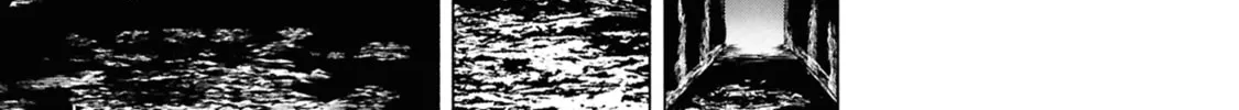 S-Kyuu Boukensha ga Ayumu Michi: Tsuihou Sareta Shounen wa Shin no Nouryoku 