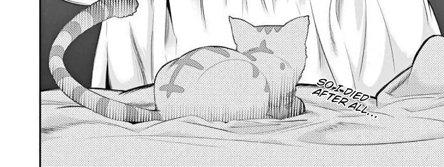 S-Rank Monster no Behemoth Dakedo, Neko to Machigawarete Erufu Musume no Kishi (Pet) Toshite Kurashitemasu Chapter 1 page 12 - 