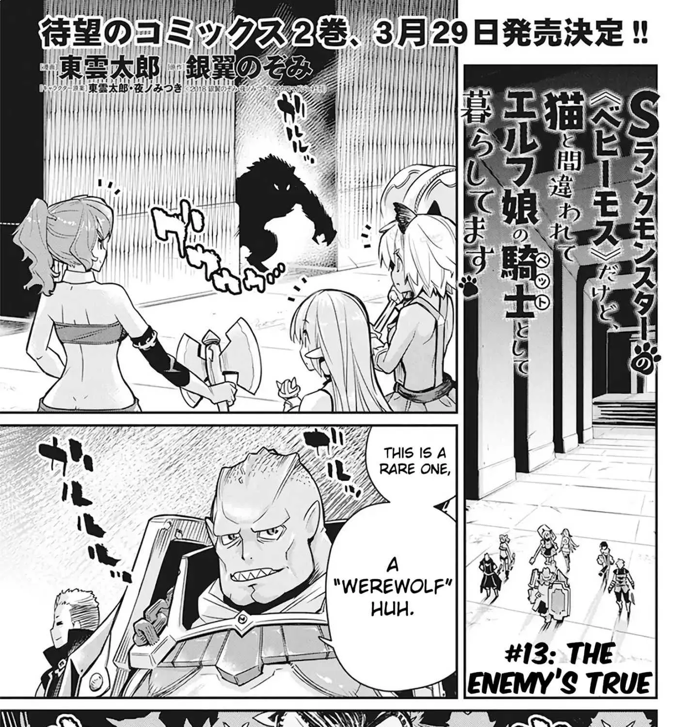 S-Rank Monster no Behemoth Dakedo, Neko to Machigawarete Erufu Musume no Kishi (Pet) Toshite Kurashitemasu Chapter 13 page 2 - 