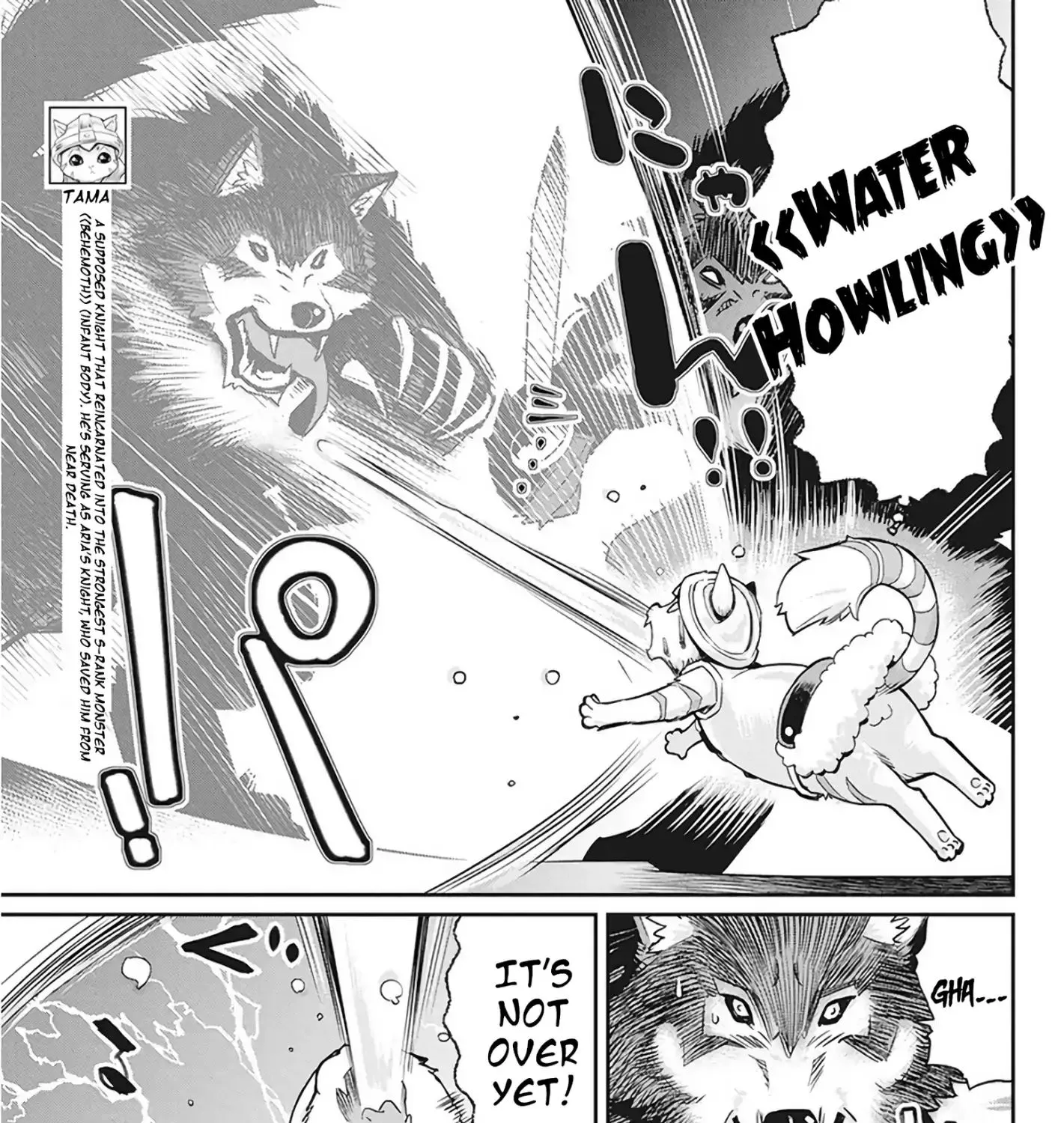 S-Rank Monster no Behemoth Dakedo, Neko to Machigawarete Erufu Musume no Kishi (Pet) Toshite Kurashitemasu Chapter 13 page 14 - 