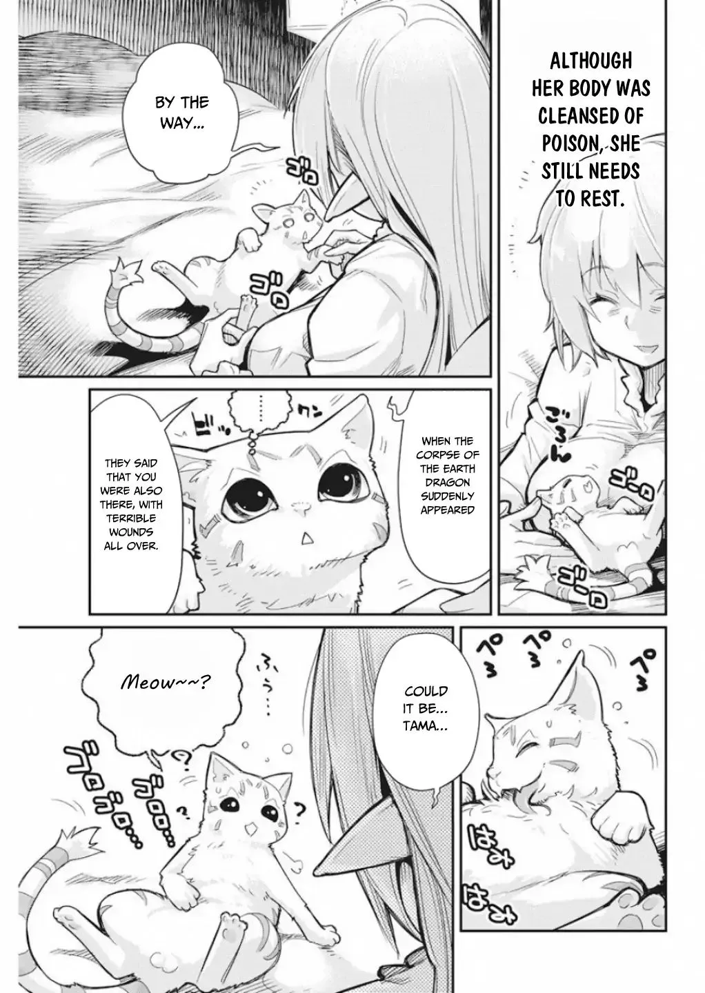 S-Rank Monster no Behemoth Dakedo, Neko to Machigawarete Erufu Musume no Kishi (Pet) Toshite Kurashitemasu Chapter 16 page 10 - 