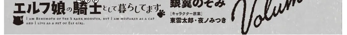 S-Rank Monster no Behemoth Dakedo, Neko to Machigawarete Erufu Musume no Kishi (Pet) Toshite Kurashitemasu Chapter 24 page 62 - 