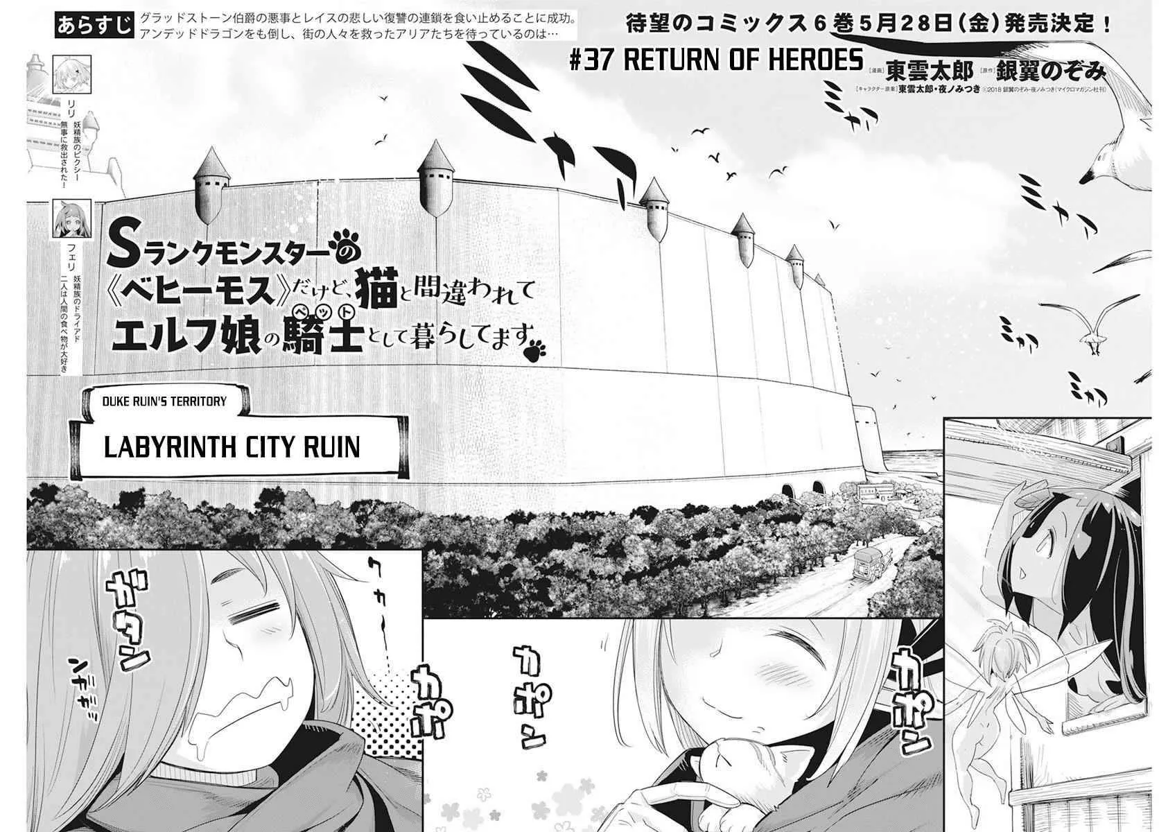 S-Rank Monster no Behemoth Dakedo, Neko to Machigawarete Erufu Musume no Kishi (Pet) Toshite Kurashitemasu Chapter 37 page 5 - 