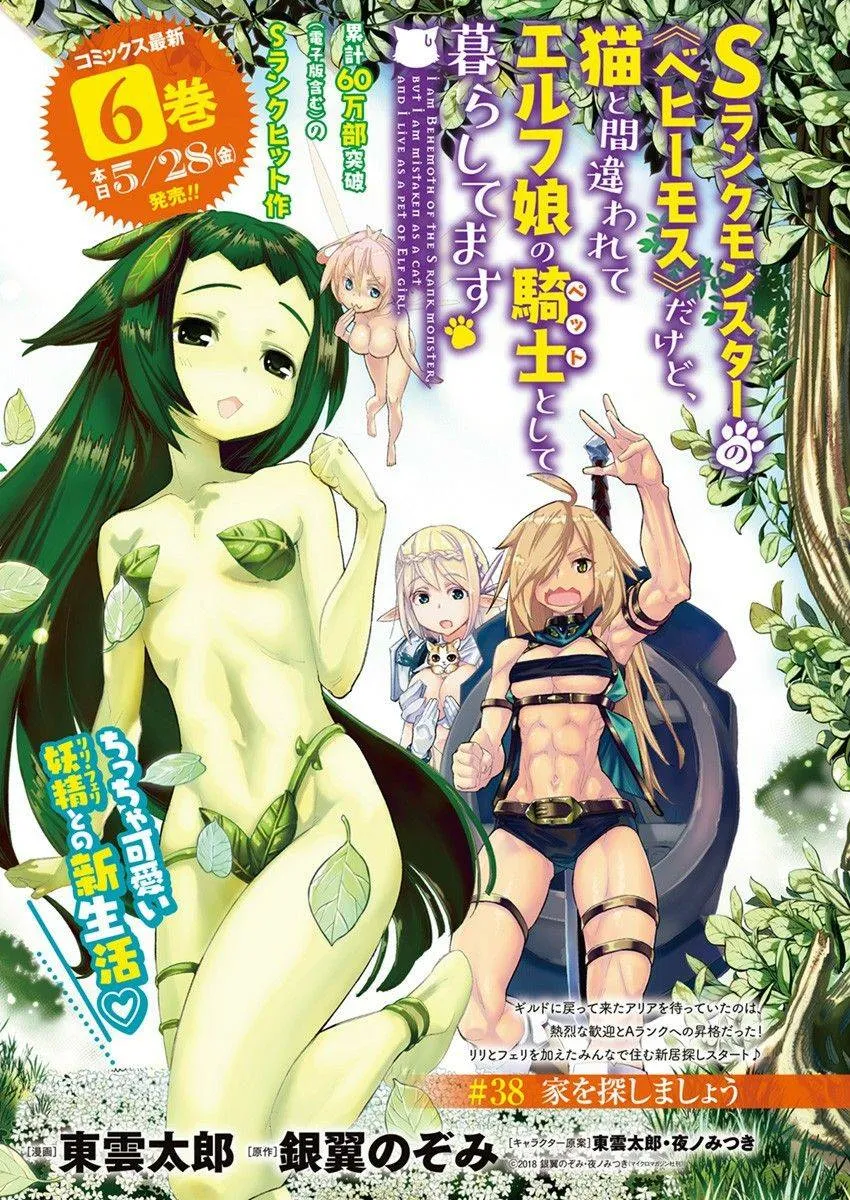 S-Rank Monster no Behemoth Dakedo, Neko to Machigawarete Erufu Musume no Kishi (Pet) Toshite Kurashitemasu Chapter 38 page 2 - 