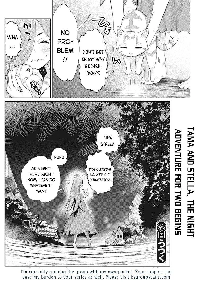 S-Rank Monster no Behemoth Dakedo, Neko to Machigawarete Erufu Musume no Kishi (Pet) Toshite Kurashitemasu Chapter 38 page 26 - 