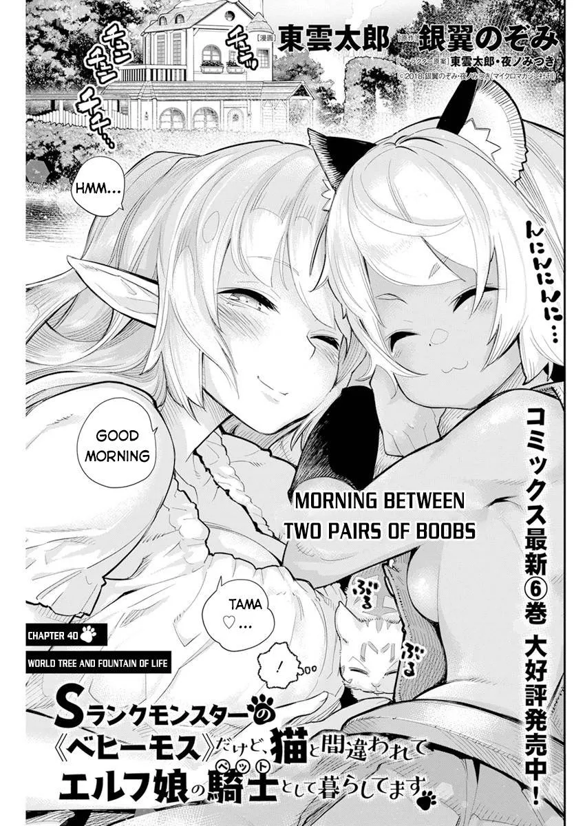 S-Rank Monster no Behemoth Dakedo, Neko to Machigawarete Erufu Musume no Kishi (Pet) Toshite Kurashitemasu Chapter 40 page 2 - 