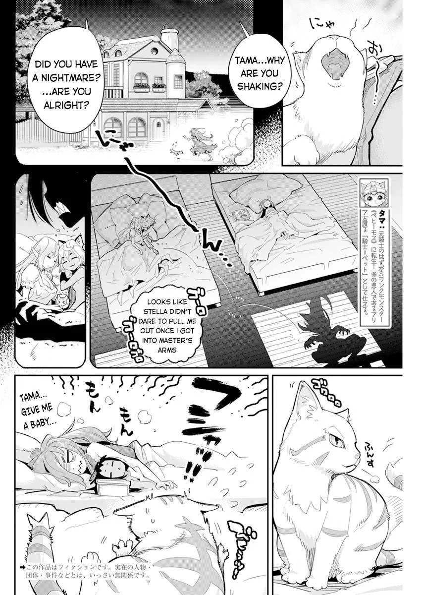 S-Rank Monster no Behemoth Dakedo, Neko to Machigawarete Erufu Musume no Kishi (Pet) Toshite Kurashitemasu Chapter 40 page 3 - 