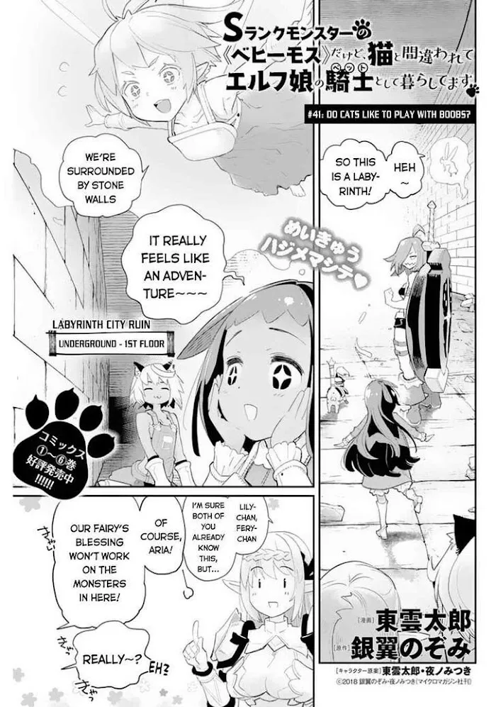 S-Rank Monster no Behemoth Dakedo, Neko to Machigawarete Erufu Musume no Kishi (Pet) Toshite Kurashitemasu Chapter 41 page 2 - 