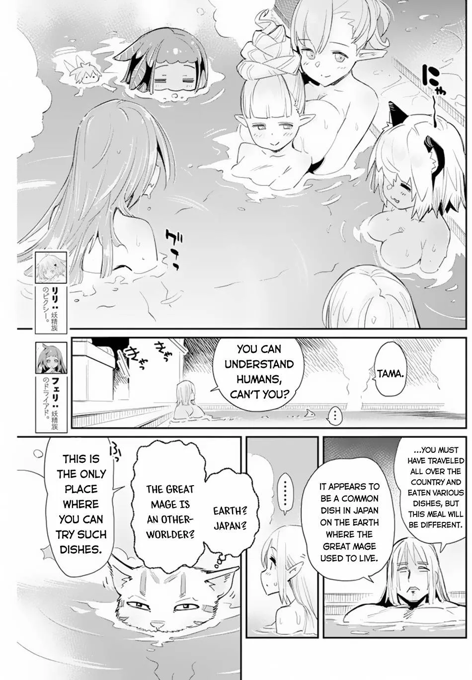 S-Rank Monster no Behemoth Dakedo, Neko to Machigawarete Erufu Musume no Kishi (Pet) Toshite Kurashitemasu Chapter 47 page 11 - 