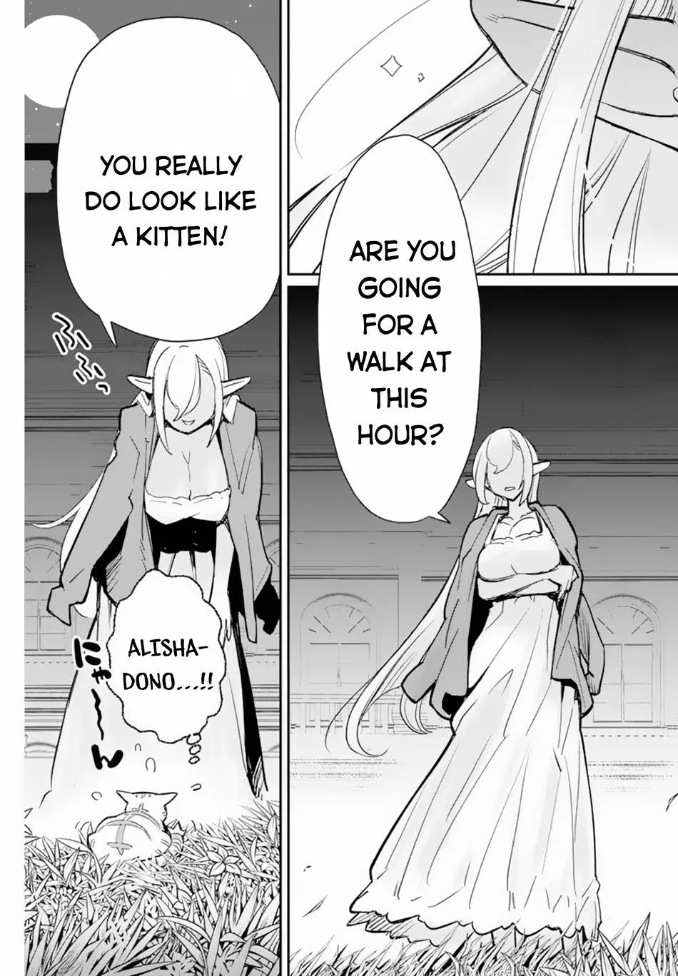 S-Rank Monster no Behemoth Dakedo, Neko to Machigawarete Erufu Musume no Kishi (Pet) Toshite Kurashitemasu Chapter 47 page 17 - 