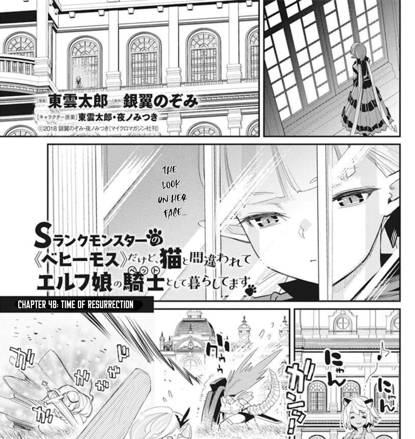 S-Rank Monster no Behemoth Dakedo, Neko to Machigawarete Erufu Musume no Kishi (Pet) Toshite Kurashitemasu Chapter 48 page 2 - 