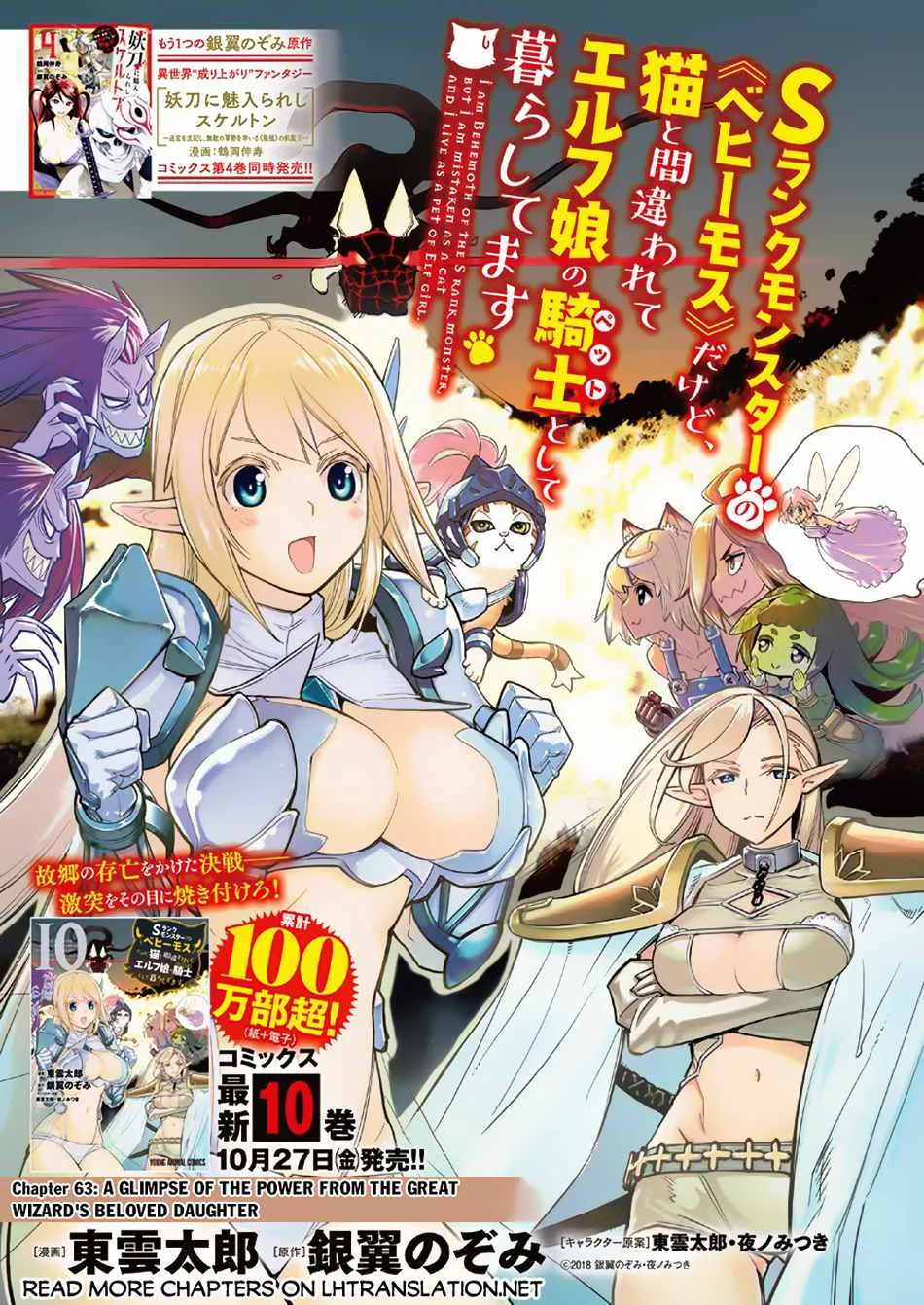 S-Rank Monster no Behemoth Dakedo, Neko to Machigawarete Erufu Musume no Kishi (Pet) Toshite Kurashitemasu Chapter 63 page 3 - 