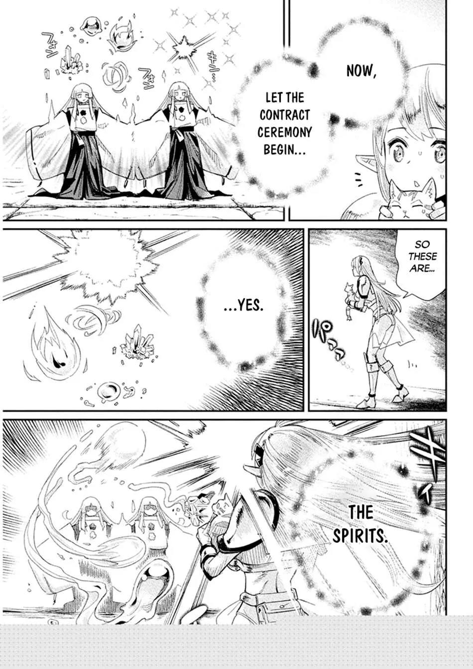 S-Rank Monster no Behemoth Dakedo, Neko to Machigawarete Erufu Musume no Kishi (Pet) Toshite Kurashitemasu Chapter 77 page 13 - 