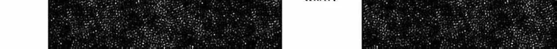 S-, Such a Handsome Guy Is My Childhood Friend and Fiancé? As Expected of a Villainess, If It Wasn’t Someone of That Caliber They Wouldn’t Be Able to Handle Such an Important Role Chapter 7 page 47 - 